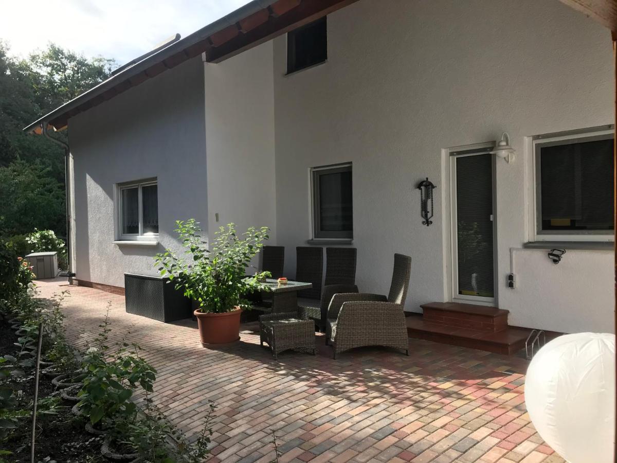 Grosszuegige Ferienwohnung Am Waldesrand Im Seenland Lauta Eksteriør bilde